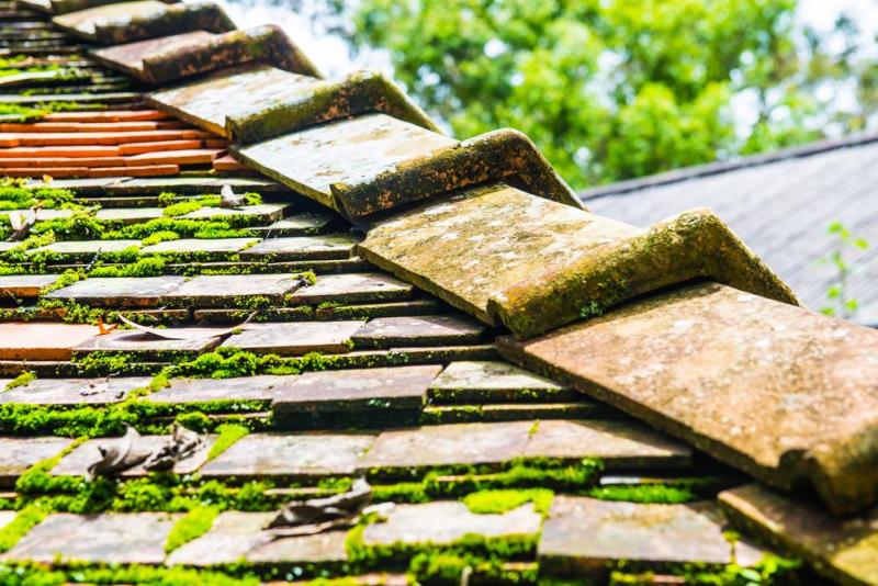 Entretien de couverture &agrave; Alfortville : pr&eacute;servez votre toiture